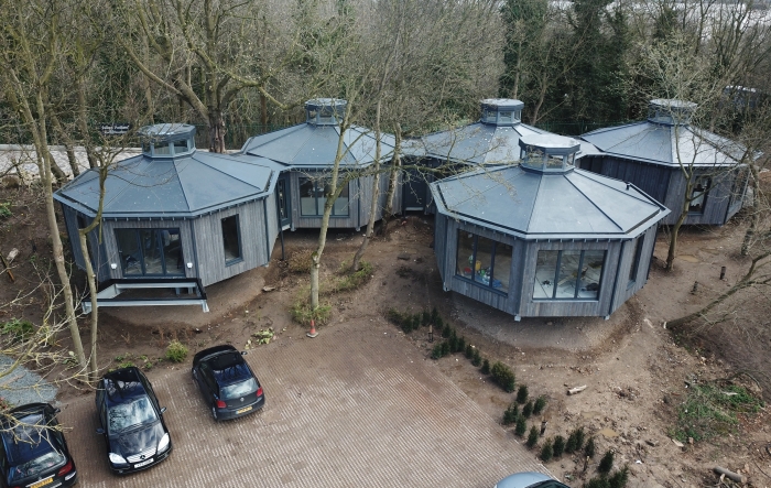 The Treetops