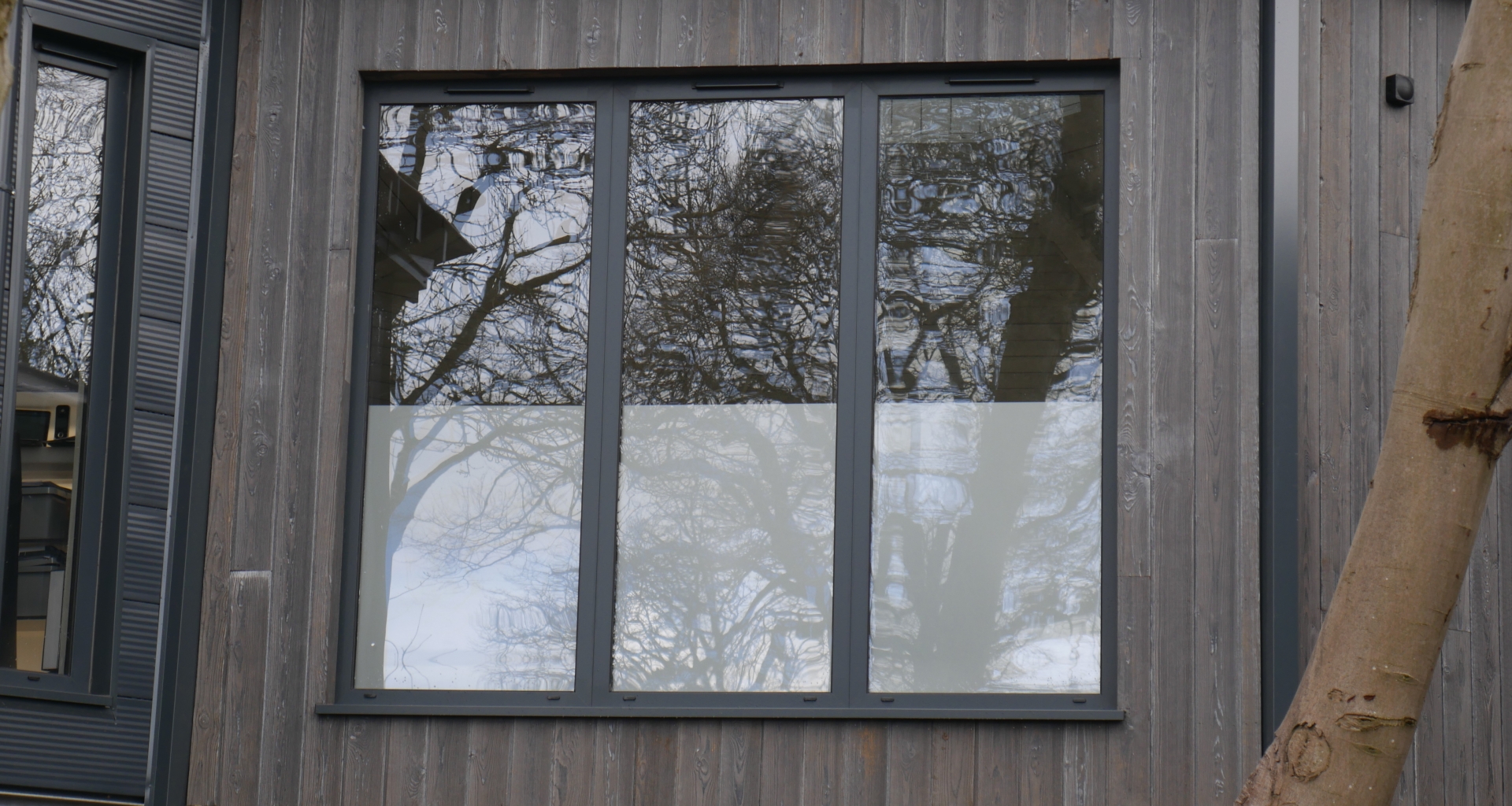 The Treetops